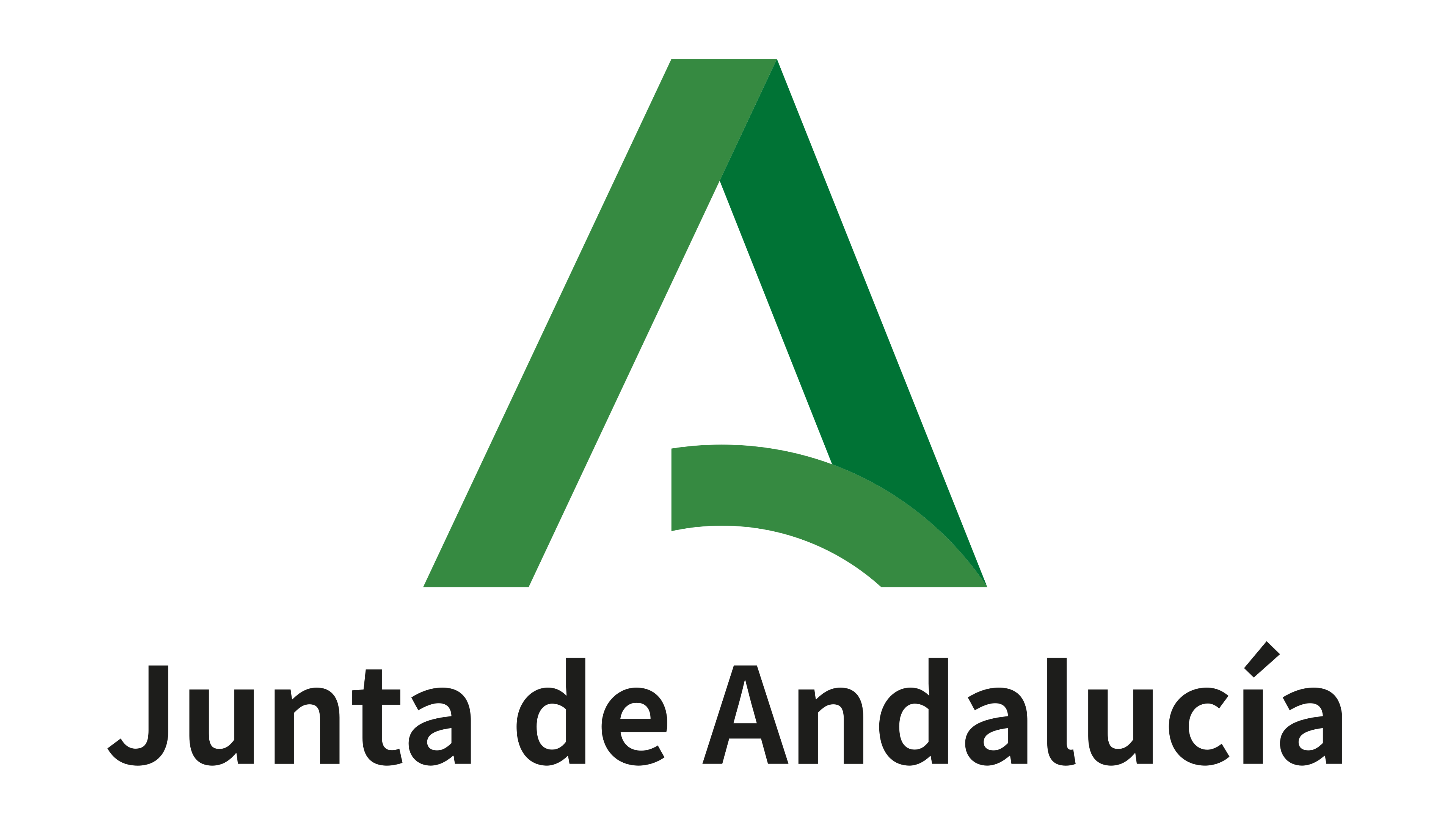 JUNTA DE ANDALUCIA